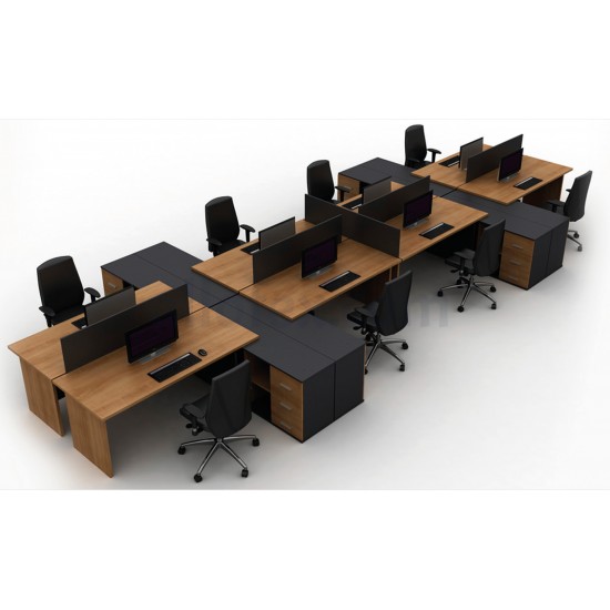 MS 10 Workstation