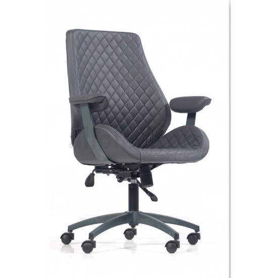 Delphi Ofis Koltuğu
