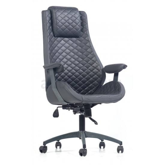 Delphi Ofis Koltuğu