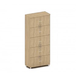 Cabinet Lock 190*75cm 10 Shelves