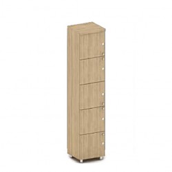 Cabinet Lock 190*75cm 5 Shelves