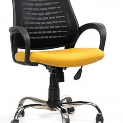 Ergo Office Chair